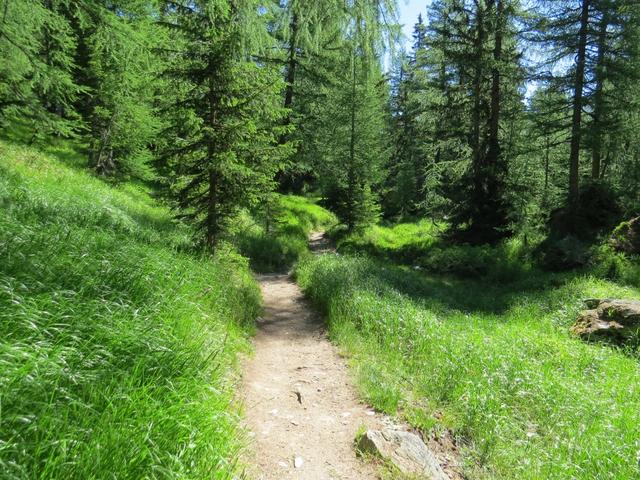 kurz vor der Weggabelung auf 1923 m.ü.M., oberhalb der Tellialp