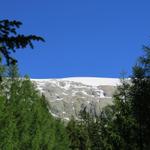 Bick hinauf zum Tellingletscher, auch Petersgrat genannt