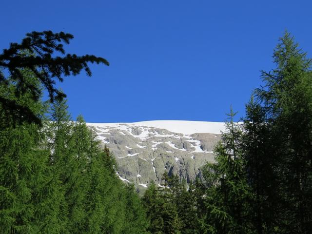 Bick hinauf zum Tellingletscher, auch Petersgrat genannt