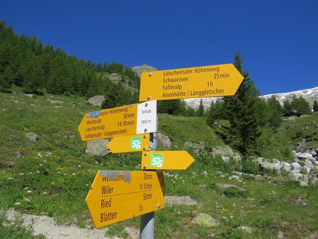 Wegweiser bei der Tellialp 1865 m.ü.M. unser nächstes Ziel ist der Schwarzsee
