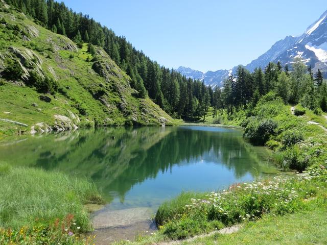 der sehr schön gelegene Schwarzsee