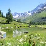 beim kleinen See auf der Fafleralp