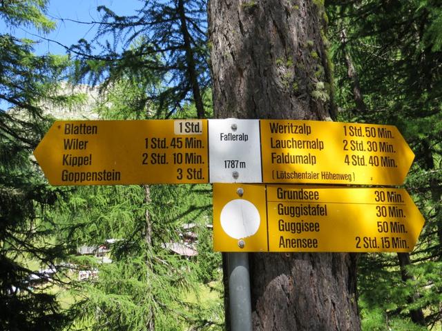 Wegweiser beim Hotel Fafleralp 1787 m.ü.M. unser nächstes Ziel ist die Anenhütte