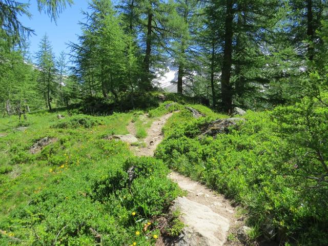 ein sehr schöner Wanderweg führt uns weiter Richtung Guggisee