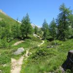 beim Gebiet mit dem Namen "Gorpä". Die Wanderung ist einfach, aber traumhaft schön