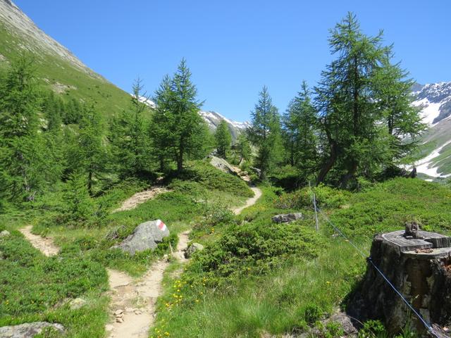 beim Gebiet mit dem Namen "Gorpä". Die Wanderung ist einfach, aber traumhaft schön