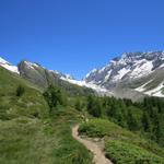 während dem Wandern können wir direkt vor uns, den Langgletscher bestaunen