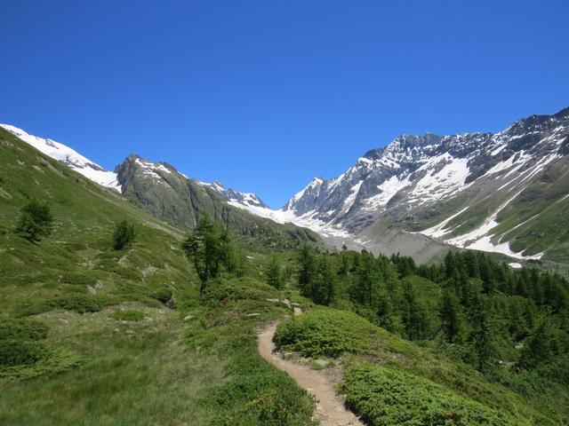 während dem Wandern können wir direkt vor uns, den Langgletscher bestaunen