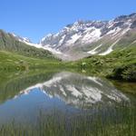 beim schönen Guggisee 2007 m.ü.M.