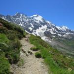 der Bergpfad steigt nun steil aufwärts. Blick zum Breithorn