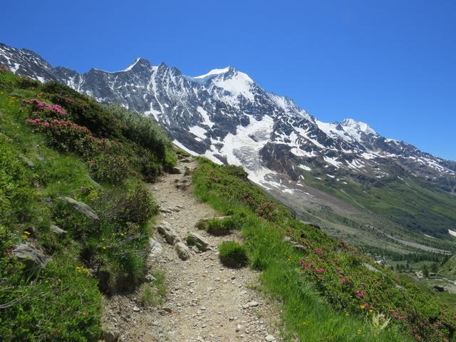 der Bergpfad steigt nun steil aufwärts. Blick zum Breithorn