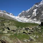 Blick vom Anusee zum Langgletscher