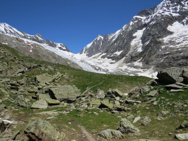 Blick vom Anusee zum Langgletscher