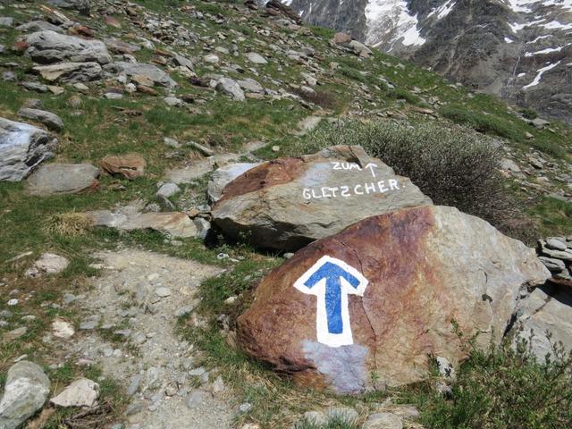 zum Gletscher falsch geschrieben oder so gewollt?