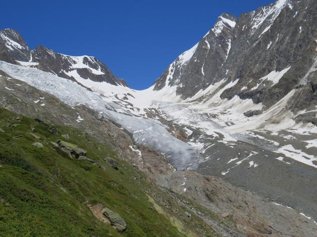 letzter Blick zurück zur Lötschenlücke mit Langgletscher und links davon der Anungletscher