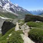 über die alte Seitenmöräne des Langgletscher verlassen wir die Anenhütte