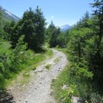 alles an der orographisch linken Seite der Lanze wandern wir nun gemütlich Talauswärts