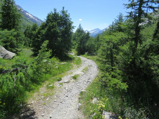 alles an der orographisch linken Seite der Lanze wandern wir nun gemütlich Talauswärts