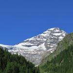 Blick hinauf zum Lauterbrunnen-Breithorn