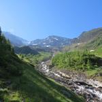 kurz vor dem gefürchteten Übergang des Nestbaches. Bei viel Wasser schwieriges überschreiten