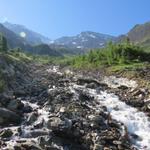 wir überqueren den tosenden Nästbach. Er bringt das Schmelzwassser vom Nestgletscher ins Tal runter