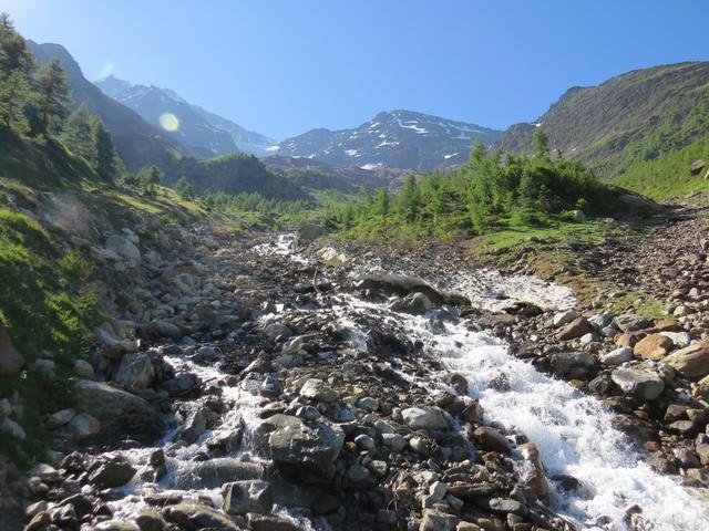 wir überqueren den tosenden Nästbach. Er bringt das Schmelzwassser vom Nestgletscher ins Tal runter