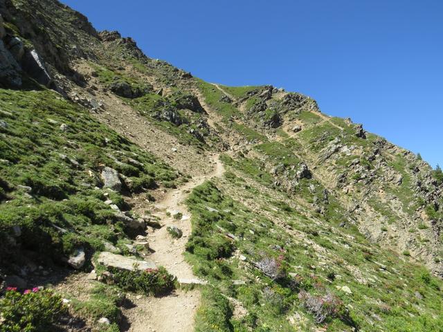 der Bergpfad wird nun deutlich alpiner