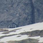 auf dem Lötschenpass sieht man sogar die Lötschenpasshütte. Dort oben waren wir auch schon