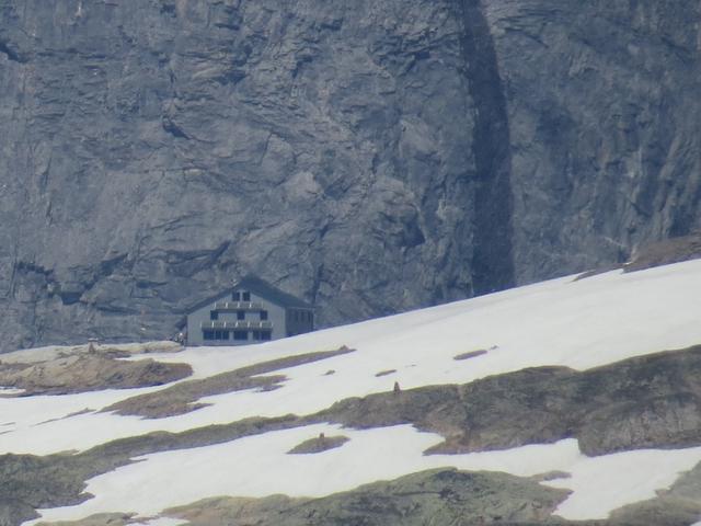 auf dem Lötschenpass sieht man sogar die Lötschenpasshütte. Dort oben waren wir auch schon