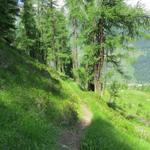 unser Ziel heisst nun Wiler im Lötschental