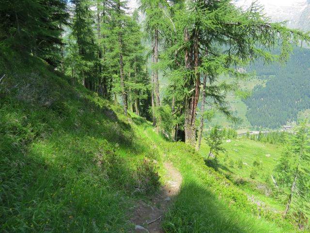 unser Ziel heisst nun Wiler im Lötschental