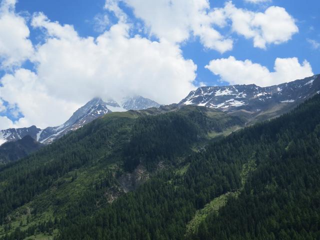 Blick hinauf zum Bietschhorn und Richtung Bietschhornhütte