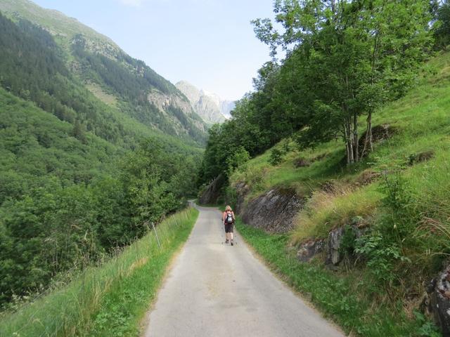 an der orographischen linken Seite des Wysswasser Bach, laufen wir auf der Fahrstrasse weiter taleinwärts