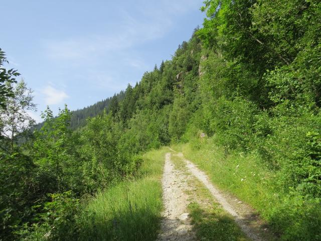 über eine Forststrasse wandern wir weiter taleinwärts, Richtung Punkt 1439 m.ü.M.