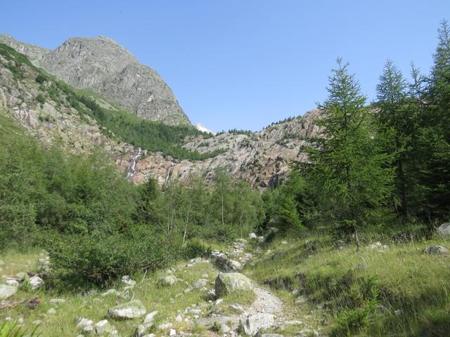 kurz vor der Felsstufe das den Talabschluss kennzeichnet, biegt der Wanderweg rechts ab