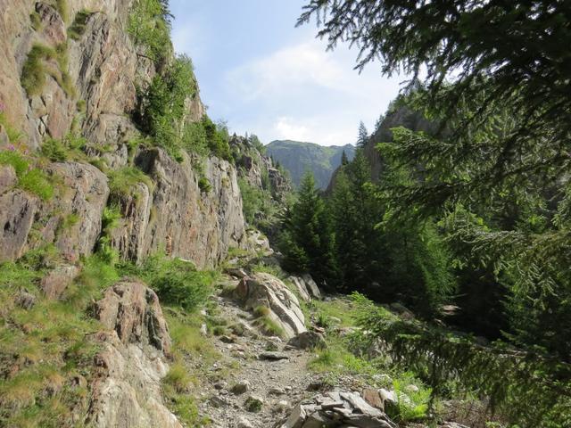 ... und macht den Blick frei auf die steilen Felswände links und rechts von uns. Ein Kletterparadies