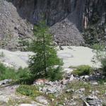 Tiefblick hinunter zum Wysswasserbach. Er führt viel Schmelzwasser vom Fieschergletscher mit sich