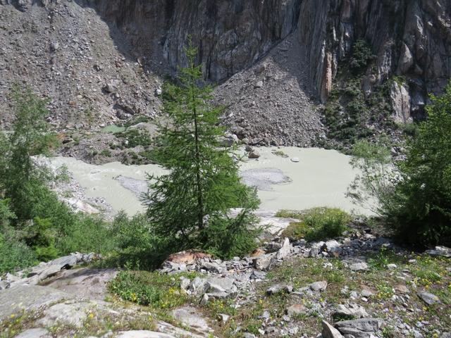 Tiefblick hinunter zum Wysswasserbach. Er führt viel Schmelzwasser vom Fieschergletscher mit sich