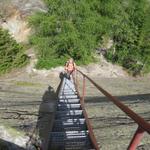 Mäusi beim Treppensteigen