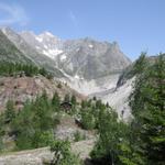 Blick zurück zum Fieschergletscher und kleines Wannenhorn