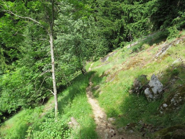 kurz nach der Weggabelung bei Punkt 1480 m.ü.M., biegen wir bei der nächsten Weggabelung rechts ab