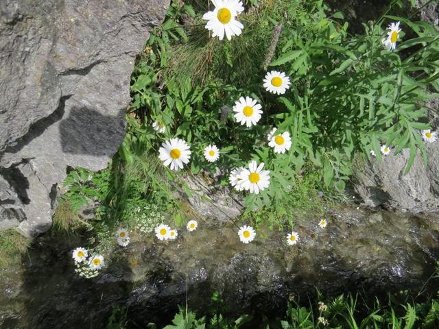 das Wasser ist glasklar aber eiskalt