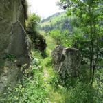 die Gebüsche geben einem eine gewissen Sicherheit. Zum Teil geht es rechts senkrecht abwärts