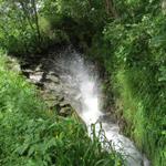 rauschend, sprudelnd, spritzend taucht die Suone zwischendurch aus kleinen Tunnels heraus