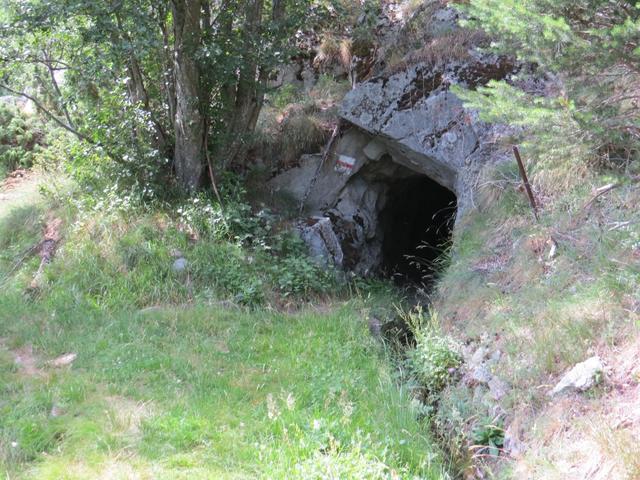 die Tunnels sind zum Teil so schmal, das man fast in die Hocke gehen muss