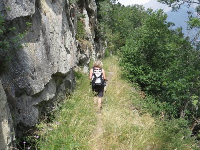 kurz vor der Weggabelung bei 1269 m.ü.M.