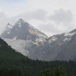 Blick zum Riedgletscher. Dort hinauf geht es am nächsten Tag