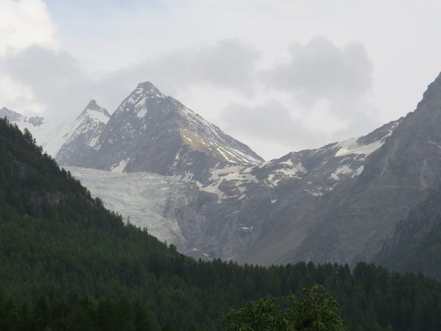 Blick zum Riedgletscher. Dort hinauf geht es am nächsten Tag