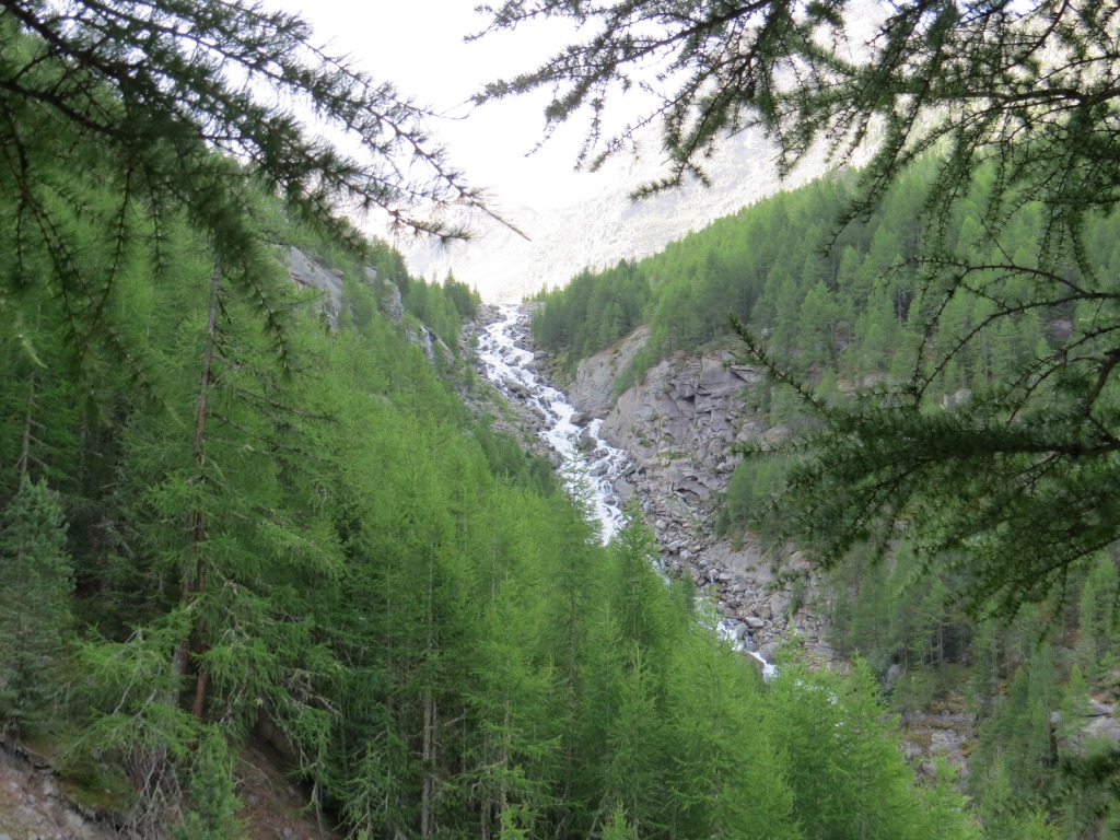 an der orografisch rechten Seite vom Riedbach geht es aufwärts