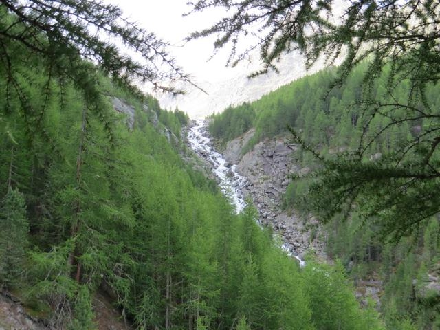 an der orografisch rechten Seite vom Riedbach geht es aufwärts